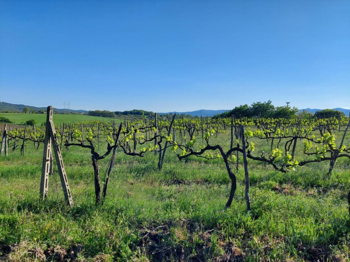 Tenuta I Lecci Terranuova Bracciolini Εξωτερικό φωτογραφία