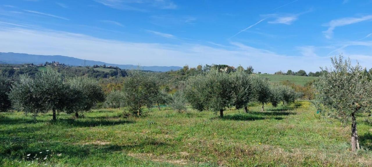 Tenuta I Lecci Terranuova Bracciolini Εξωτερικό φωτογραφία